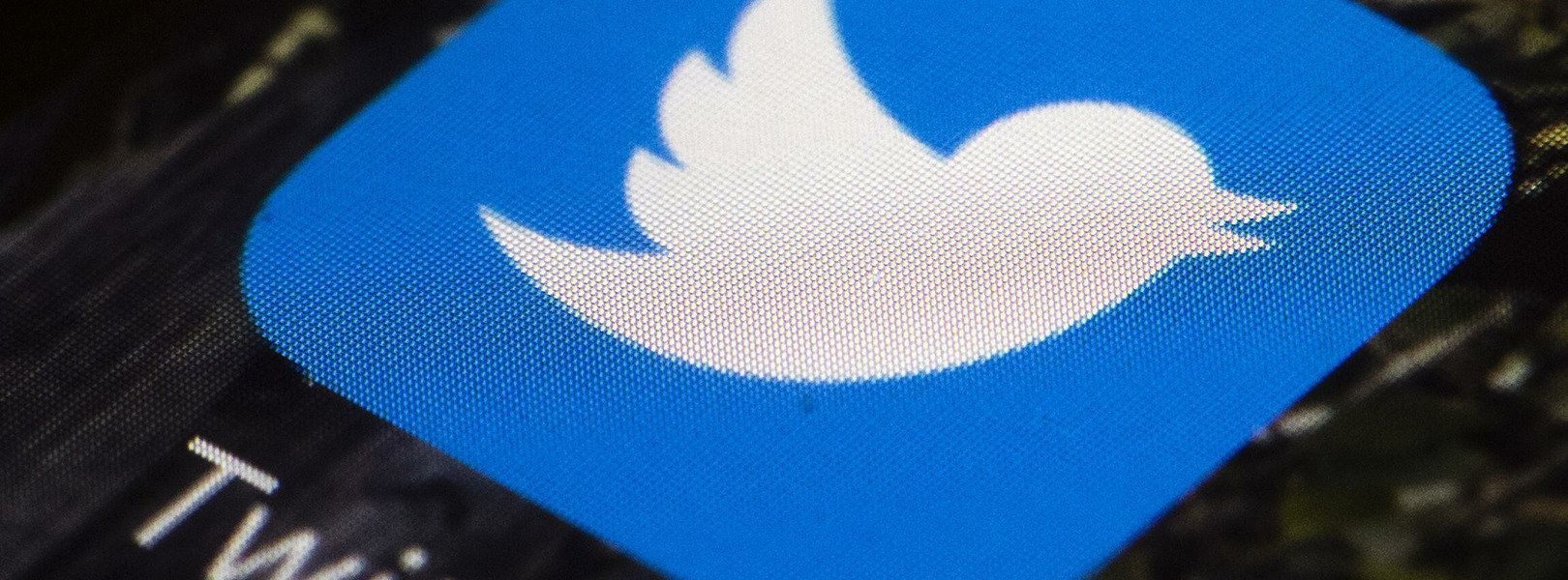 Маск купил Twitter за $44 млрд